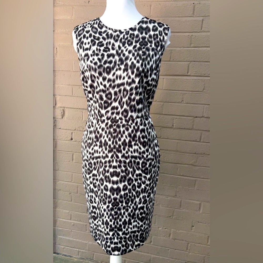 Chaus  Animal Print Sleeveless Dress 8